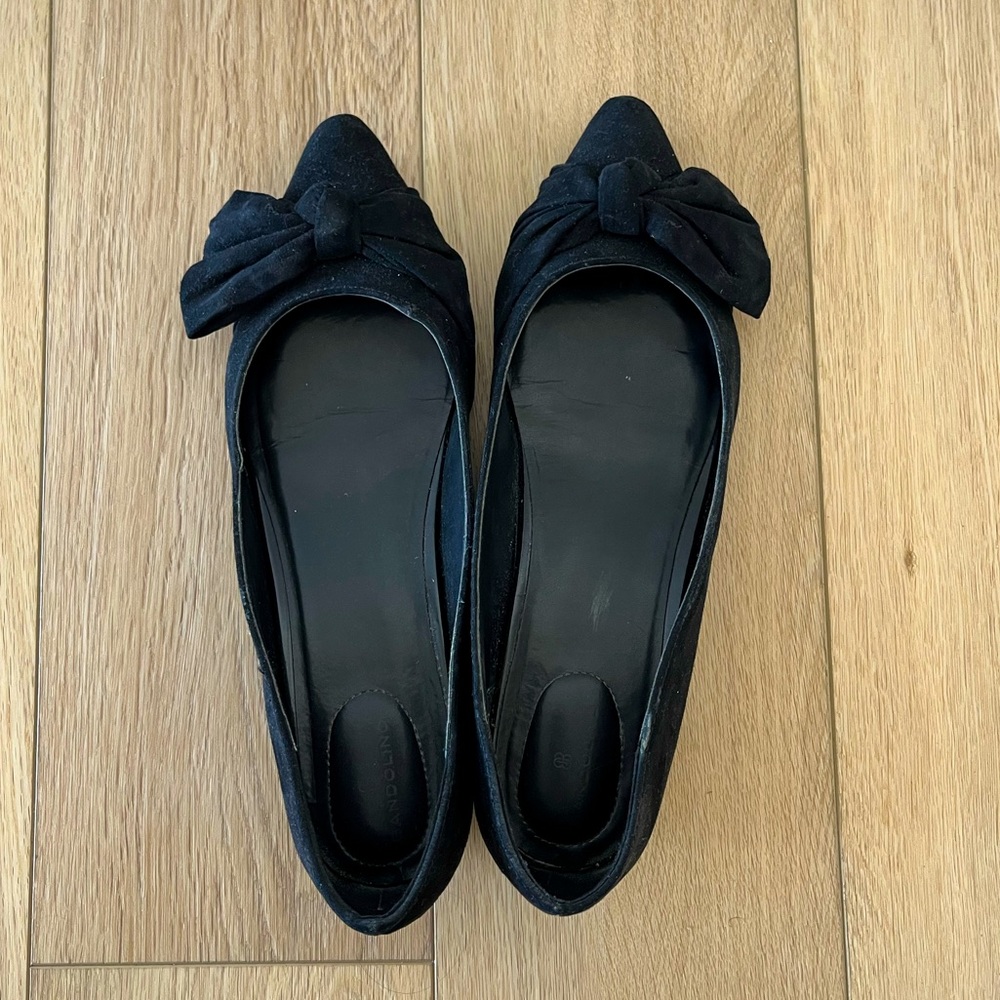 Pointed toe Ballet flats